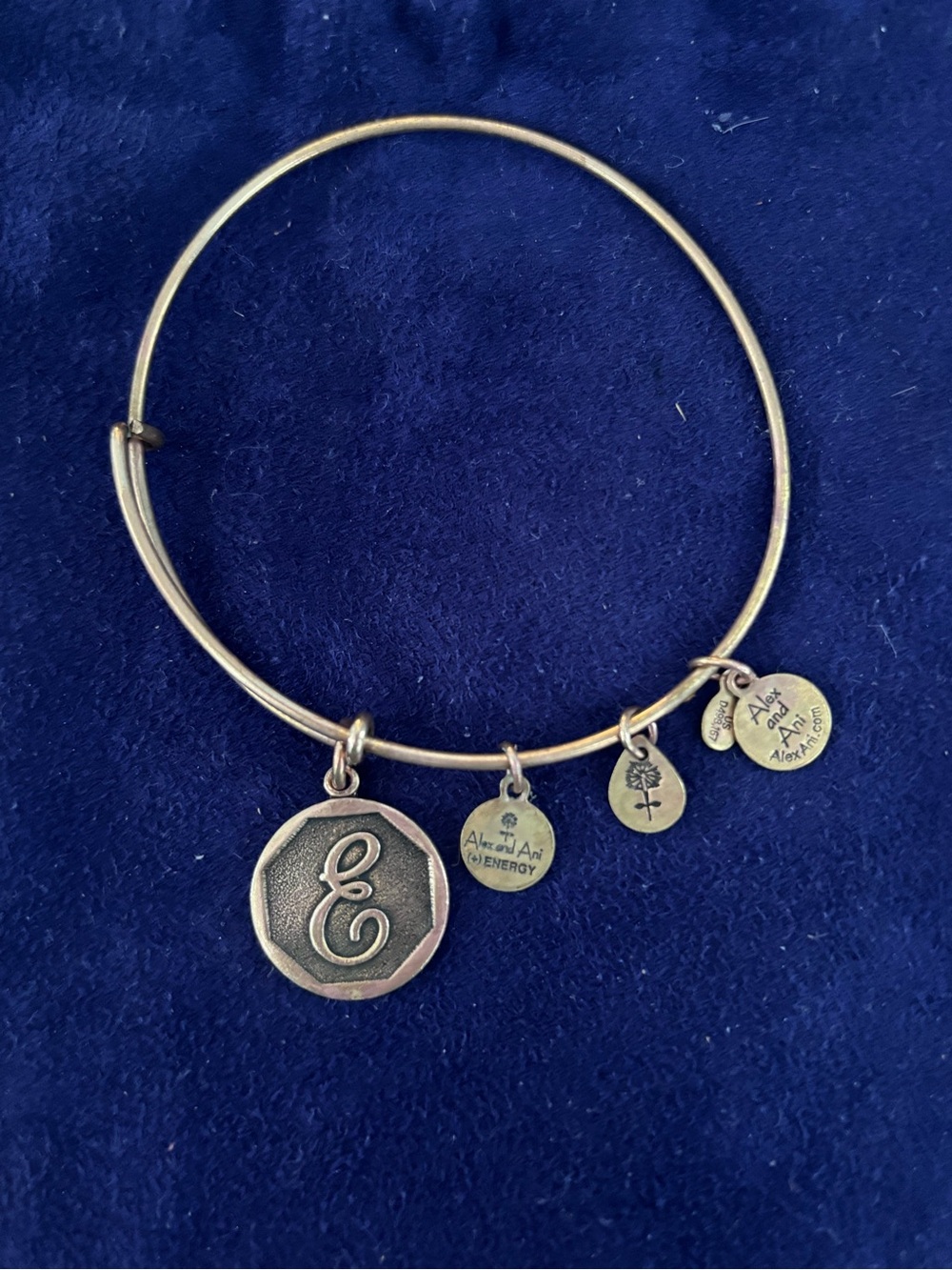 Alex and Ani E Initial Bracelet